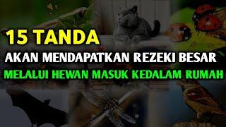 15 TANDA AKAN MENDAPAT REZEKI BESAR JIKA BINATANG INI MASUK KE DALAM RUMAH  Hewan Pembawa Rezeki