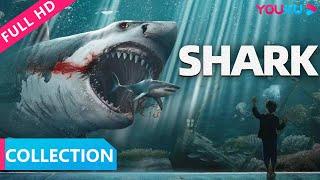 【巨鲨之夺命鲨滩&血鲨1 Shark Collection】嗜血巨鲨惊悚来袭，看美女如何搏命逃脱鲨口！ 惊悚灾难  YOUKU MOVIE  优酷电影