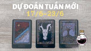 Dự đoán tuần mới 176-236️️️  Chọn tụ bài Tarot