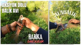 DEREDE MÜKEMMEL BALIK AVI - HARİKA ALABALIK AVI - FİSHİNG #alabalık #fishing #keşfet