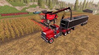 Harvest day on the $1000000 Farm  Buying pigs and more  Suits to boots 5  Farming simulator 19