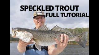 HOW TO CATCH SPECKLED TROUT Sea Trout - TUTORIAL and EVERYTHING TO KNOW