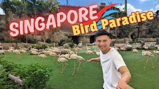 Singapore Mandai Bird Paradise  Things To Know Before Going to Asias Largest Bird Park