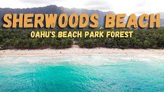 Sherwoods Beach  Waimanalo Bay Beach Park