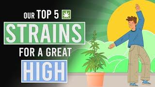 Our Top 5 Weed Strains for a Great High