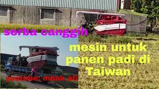 sangat cepat mesin panen padi di Taiwan #tkw taiwan #mesinpanenpadi