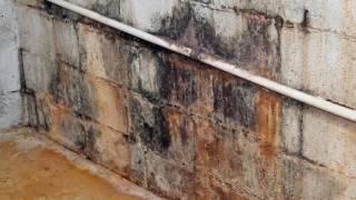 Wet Basements  Toledo OH – Toledo Basement Repair