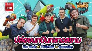 ปล่อย #นกบินอิสระ กลางสยาม The Birds&Friends of Paradise เพื่อนรักสัตว์เอ๊ย EP.230 free flying bird