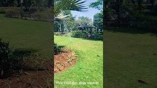 vivo x100 pro slow motion video sample #vivo #photography #mobile