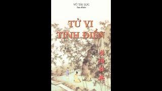 SÁCH NÓI TỬ VI TINH ĐIỂN PHẦN 10  TỬ VI VÀ VẬN MỆNH  THẦY TRÌNH MINH ĐỨC