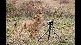 CORSO DI FOTOGRAFIA NATURALISTICA PROFONDITÀ DI CAMPO