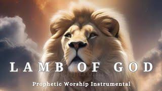 Prophetic Warfare Worship InstrumentalLAMB OF GODBackground Prayer Music