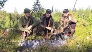 Kyyhkyn Metsästys Aloitusaamu Pigeon Hunting 2022