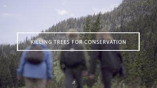 Killing trees for conservation