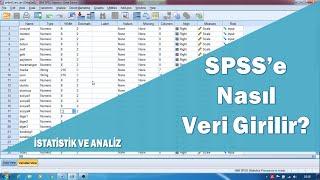 SPSS veri girişi SPSS anket verisi girişi