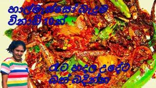 Halmasso Baduma  විනාඩි 10න් හාල්මැස්සෝ බැදුමක්  Tempered Dried Sprats  fried sprats