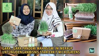 KISAH INSPIRASI  GARA - GARA PANDEMI MAHASISWI INI MERAUP UNTUNG DARI BISNIS STARTER KIT MICROGREEN