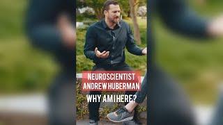 The REAL Reason Andrew Huberman Became a Neuroscientist