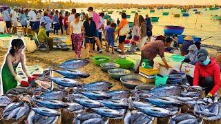 Wow Beautiful Nature Villages Worth Fish Market in Vietnam