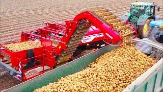 Как выращивают и собирают миллионы тонн картофеля современными машинами  Noal Farm на русском