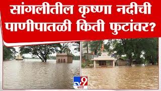 Sangli Krishna River  सांगलीतील कृष्णा नदीची पाणीपातळी किती फुटांवर?  tv9 live