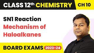 SN1 Reaction Mechanism of Haloalkanes Haloalkanes & Haloarenes Class 12 Chemistry Ch10 2022-23