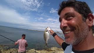 due sono big orata 7 pesci con una canna da pesca che non si dimentica. fishing with bobbit worm