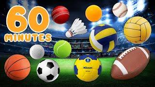 60 Minutes LEARN SPORT BALLS in English for BEGINNERS