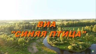 Вы Cлыхали Как Поют Дрозды  ВИА Синяя Птица  Солист Александр Дроздов  Official Video