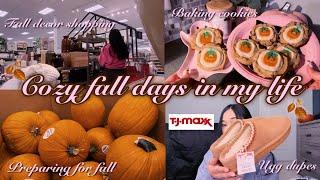 A COZY FALL VLOG preparing for fall decor shopping baking cookies fall haul & cozy aesthetic 