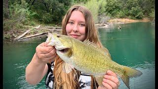 My favorite baits to throw at Shasta Lake Fishing was great