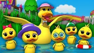 Lima bebek kecil  sajak anak-anak  Nursery Songs  Five Little Ducks