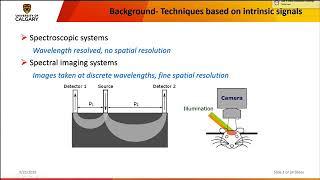 PowerPoint Tutorial How to organize a slide