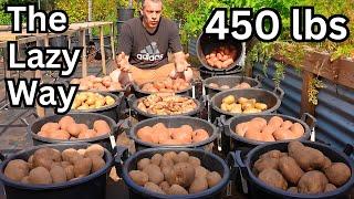 I Grew 450 lbs Of Potatoes The Lazy Way. Never Dig Again