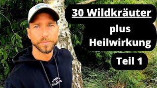 30 Wildkräuter + Heilwirkung Teil 13