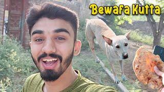 Kutta Ne desi ghi wali Roti khakar Bewafai kar di 