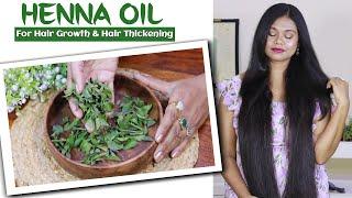 Henna Hair Oil  Henna Oil for GREY HAIR & Hair Regrowth  Mehndi Ka Tel - Sushmitas Diaries
