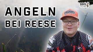 Angeln bei Reese - Forelle auf Fishup Pupa - Das erste Video und gleich Fisch?