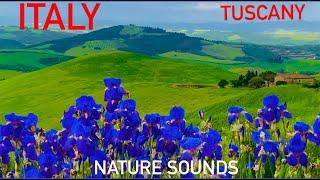 NATURE ITALY Breathtaking Tuscany after rain Birds Beauty and Tranquility in 4K