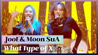 4K JooE&Moon SuA - What Type of X Jessi cover