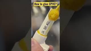 How to glue CPVC pipe? #shorts