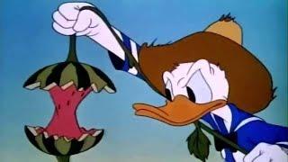 ᴴᴰ Pato Donald y Chip y Dale dibujos animados - Pluto Mickey Mouse Episodios Completos Nuevo 2018