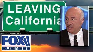 California is now a ‘basket case war zone’ under Newsom Kevin O’Leary