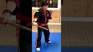 Fight With Two SticksArnis Master Explain#martialarts #karate #capoeira #selfdefense #ytshorts