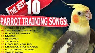THE BEST 10 PARROT TRAINING SONGS-Cockatiel Singing Training-Budgie-Bird