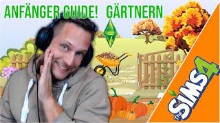 Die Sims4 Der beste Weg Geld zu verdienen. Gemüse im Garten Tutorial Tipps und Tricks