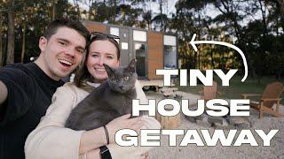 What It’s Like Staying In A Tiny House With A Cat Victoria Australia