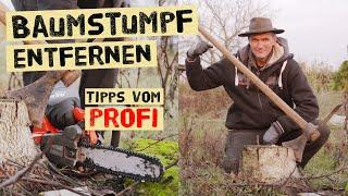 Baumstumpf richtig entfernen - Profitipps für deinen Garten Verschiedene Methoden erklärt.