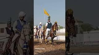 Tent Pegging