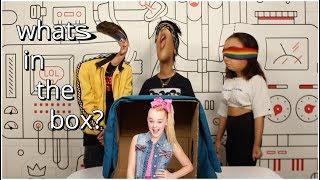 WHATS IN THE BOX CHALLENGE FT. PERKINS SISTERS